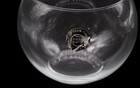 Mid-century Modern Style Clear Glass Bubble Bowl   Rose Bowl