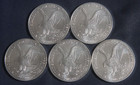 Lot Of 5 2023 Us 0 999 Fine American Eagle       C 0 i n  Bu- In Stock