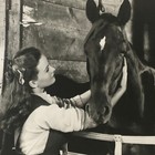 Vintage Movie Still Photo Photograph Jeanne Crain Home In Indiana With Horse