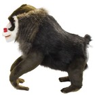 Hansa Mandrill 49 Bh3577 New Realistic Plush Animals From Japan