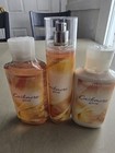 Bath   Body Works Cashmere Glow Fine Fragrance Mist Lotion Body Wash
