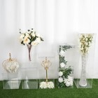 Clear 5 Acrylic Display Boxes Pedestal Riser Centerpieces Columns Decorations