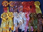 Santa Barbara County So  Calif  Horse Show Ribbons Awards Equestrian Events Rare