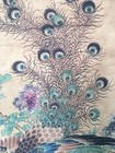 Chinese Old Scroll Chen Xing - Peacock Bird Flower Of Rice Paper Painting