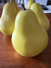 5 Faux Fruit Pear Artificial Decorative Realistic