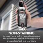  2 Pack  Eliminator Wasp   Hornet Killer3  17 Oz  Kills Wasps   More