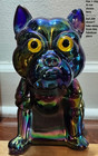  rare  Large Antique   Vintage Blue Glass Tall 7  X 7  Boston Terrier Bulldog