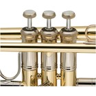Bach 190 Stradivarius 43 Series Professional Bb Trumpet Lacquer 197881180645
