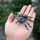 Realistic Scary Fake Spider Insect Tricky Prank Joke Toy Halloween Decor Prop