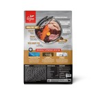 Grain Free High Protein Dry Dog Food Puppy Recipe 4 5lb Bag