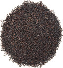 Broccoli Seeds For Sprouting   Microgreens   Waltham 29   Bulk 1 Lb Resealable B