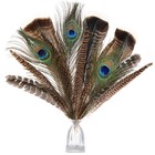 Large Pheasant Feathers 8-12inch 4 Styles 15pcs Bird Craft Feathers Wholesale