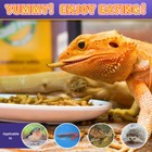 Organic Mealworms Bulk Dried For Wild Blue Birds Hen Reptile Treats Non-gmo Lot