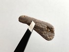 Natural Holey Beach Rock Hag Stone Fossilized Wood Fairy Wish Mystic Adder Us  g
