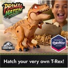 Jurassic World Interactive Toy Dinosaur   Egg  Hatch   Train Your Own Baby Dino 