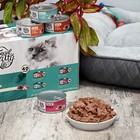 New Kitty Surf   Turf Pate Wet Cat Food Variety Pack  5 5 Oz Cans  40 Pack 