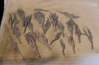 Ho Scale Woodland Scenics Set Of 22 Tree Trunks Up To 3 5  Tall Bn No Box