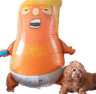 Huge Trump Baby Blimp Balloon Balloons 47 2 Inches Am I A Baby Al Film Donald 