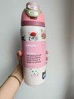 Owala Uo Exclusive Cat Collage Freesip 32oz Insulated Water Bottle Pink Limited