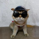 Extra Small Dog Goggles And Xsmall Dog Helmet  2pcs Anti-uv Doggy Sunglasses Cat