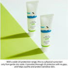 Roundlab Birch Juice Moisturizing Mild-up Sun Cream 50ml X 2pcs   Free Gift