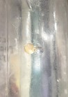 Leadville  Colo  Citrate Of Magnesia  Nicolai s Pharmacy - Good Condition 
