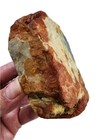 Petrified Wood Specimen 194 1 Grams 