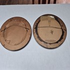 Pr Complementary Antique 1847 Joseph Carson Medical Botany Oval Frames