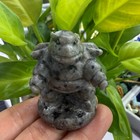 2  Natural Flame Stone Water Arrow Turtle Quartz Crystal Carved Reiki Healing