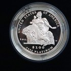 2004 W American Platinum Eagle Proof 1 Oz  100 - Coin In Ogp
