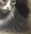 Original Charcoal Drawing  Cat Portrait  16 x 12  Not A Print