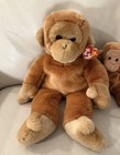 Bongo The Monkey Ty Beanie Buddy   Beanie Baby With Tags Excellent Condition