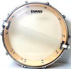 Legend Drums By Kaman 14  X5 5 Maple Snare Drum Keller Shell Wood Remo Evans 300