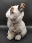 Gund Grumpy Cat Meme 9    Plush Stuffed Animal Toy Kitty 4040133