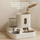 Automatic Feeder Cat Dog Food Bowl With Water Fountain Pet Large Capacity Raised