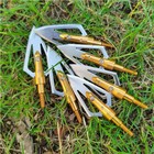 6 12pcs Archery 100 Grain Hunting Broadheads Arrowhead Point Bow Shooting Target