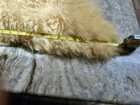 Authentic Vintage 1970s-1980s German  echt Lammfell  Natural Sheepskin Rug Throw