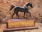 Gladys Brown Edwards Arabian Trophy Won By Jon San Judizon Us National Champion