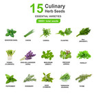 Herb Seeds Variety Pack   15 Essential Culinary Varieties   5600  Heirloom Seeds