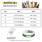 Bling Leather Dog Collar Personalized Custom Puppy Cat Pet Name Number Engraved