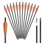 12pcs 20   Hunting Crossbow Bolts Carbon Arrows 4  Vanes Archery Crossbow Arrows