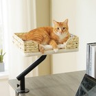 Pawz Road Cat Desk Bed For Indoor Cats Big Hammock 360   Adjustable Support 50lbs