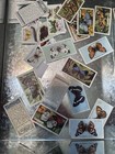 10 X Butterflies      Cigarette tobacco Cards Random Lot 1920   s-30   s