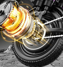 1500w Motor Adult Ebike Foldable 48v15ah Electric Bicycle 30mph 45miles Range Us