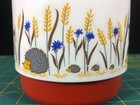 Vtg Dr  Zimmerman Germany Insulated Plastic Thermos W  Adorable Hedgehog Design 
