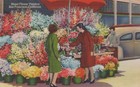 Street Flower Vendors San Francisco California Vintage Linen Post Card