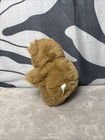 Vintage Soft Touch Brown Teddy Bear Plush 9  Smiling Soft Stuffed Animal Lovey