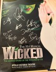 Wicked London Production 14  X 20  Cast Signed Poster-8 Signatures-rachel Tucker