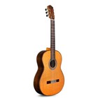 Cordoba C10 Cd in Acoustic Nylon String Solid Cedar Top Classical Guitar W  Case