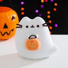 Pusheen Boosheen Trick Or Treat 2024 Halloween Exclusive Plush   in Hand  